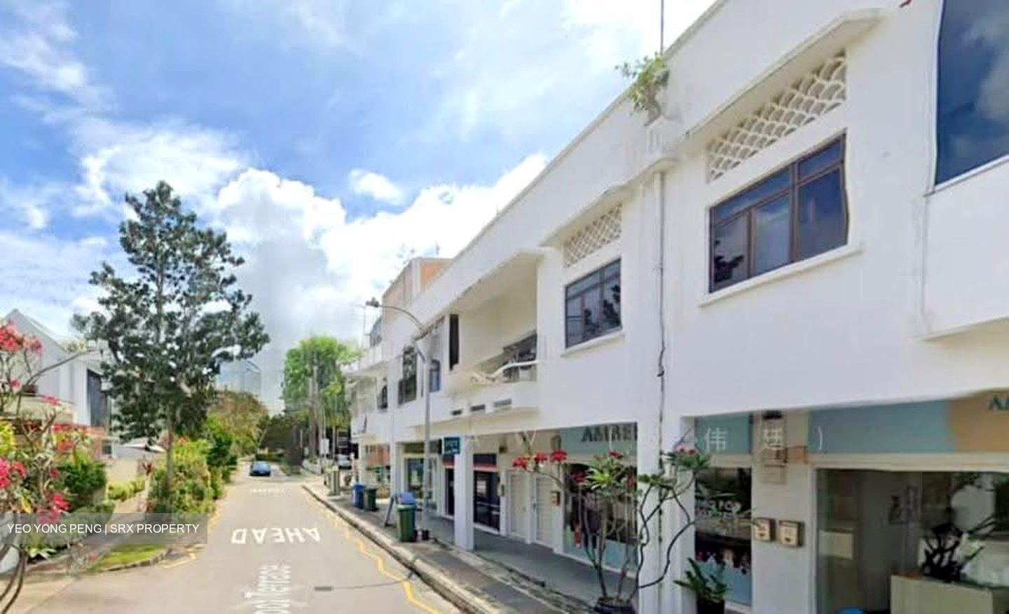 Frankel Estate (D15), Shop House #611018311